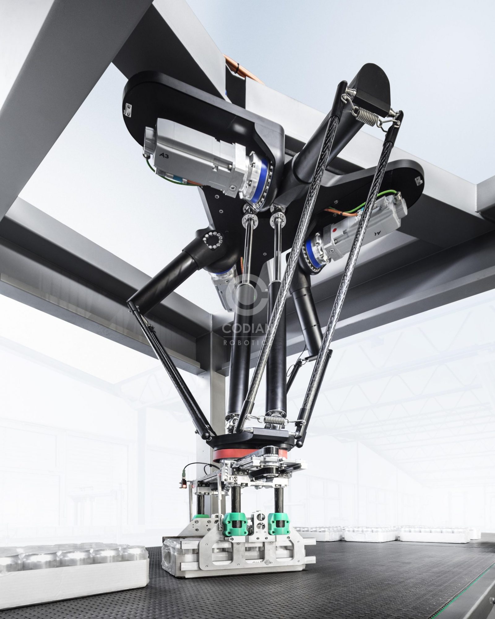 Flexible palletizing - Codian Robotics